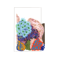 The Arts Wedding The Arts Wedding