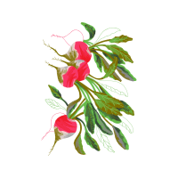 Touch Me Not Wedding Touch Me Not Wedding