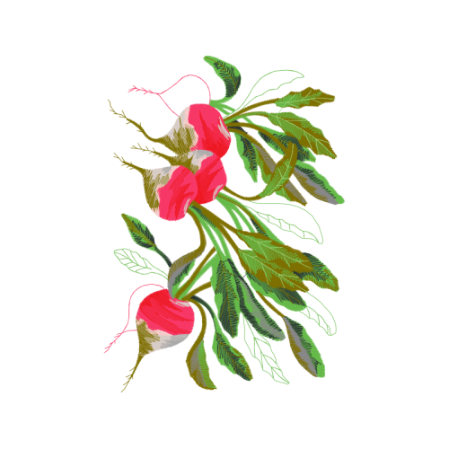 Touch Me Not Wedding Touch Me Not Wedding