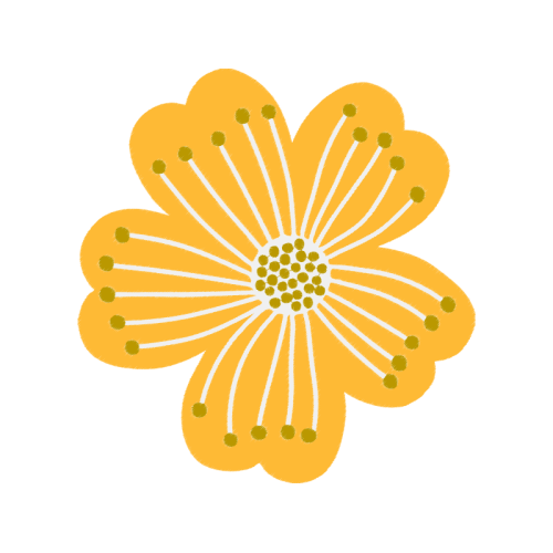 Transvaal Daisy Wedding Transvaal Daisy Wedding