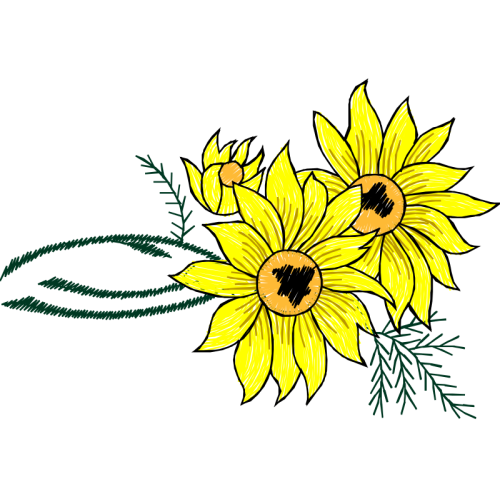 Transvaal Daisy Wedding Transvaal Daisy Wedding