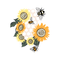 Transvaal Daisy Wedding Transvaal Daisy Wedding