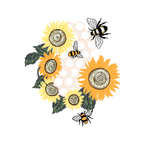 Transvaal Daisy Wedding Transvaal Daisy Wedding