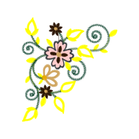 Transvaal Daisy Wedding