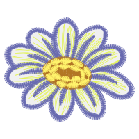 Transvaal Daisy Wedding