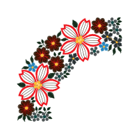 Transvaal Daisy Wedding Transvaal Daisy Wedding