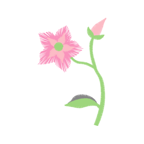 Transvaal Daisy Wedding Transvaal Daisy Wedding