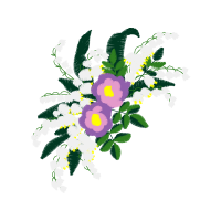 Transvaal Daisy Wedding Transvaal Daisy Wedding