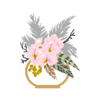 Transvaal Daisy Wedding Transvaal Daisy Wedding