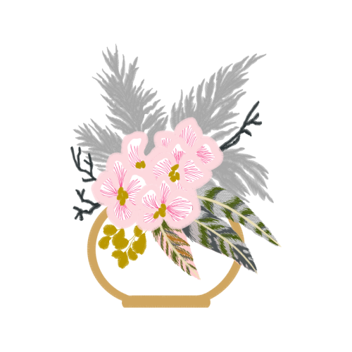 Transvaal Daisy Wedding Transvaal Daisy Wedding