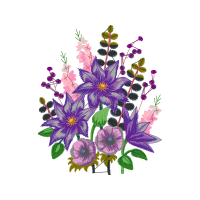 Transvaal Daisy Wedding Transvaal Daisy Wedding