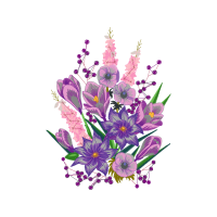 Transvaal Daisy Wedding