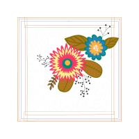 Transvaal Daisy Wedding Transvaal Daisy Wedding