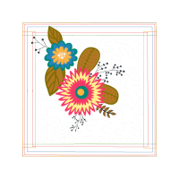 Transvaal Daisy Wedding Transvaal Daisy Wedding