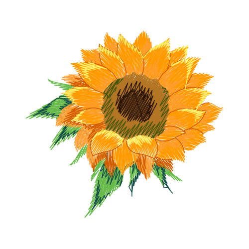 Transvaal Daisy Wedding Transvaal Daisy Wedding