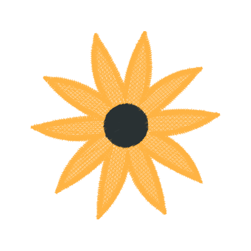 Transvaal Daisy Wedding Transvaal Daisy Wedding