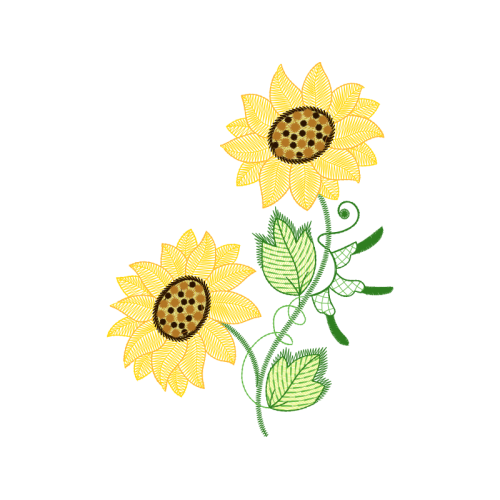 Transvaal Daisy Wedding Transvaal Daisy Wedding