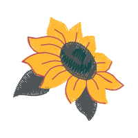 Transvaal Daisy Wedding Transvaal Daisy Wedding