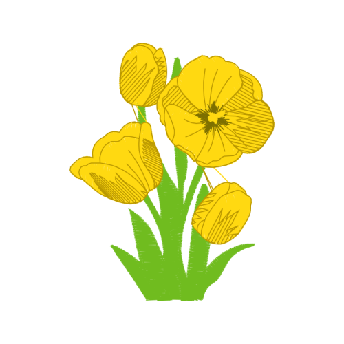 Tulip Wedding Tulip Wedding