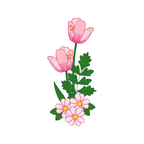 Tulip Wedding Tulip Wedding