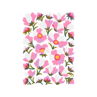 Tulip Wedding Tulip Wedding