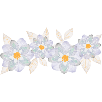 Tulip Wedding Tulip Wedding