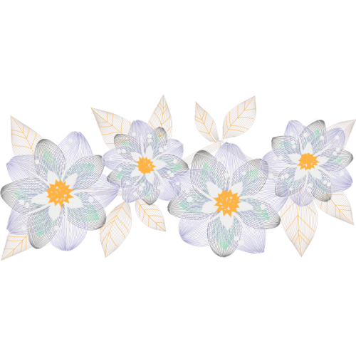 Tulip Wedding Tulip Wedding