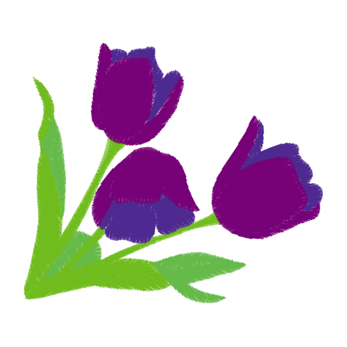 Tulip Wedding Tulip Wedding