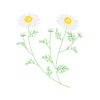 Vector Graphics Wedding