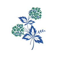 Vervain Wedding Vervain Wedding