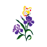 Vervain Wedding Vervain Wedding