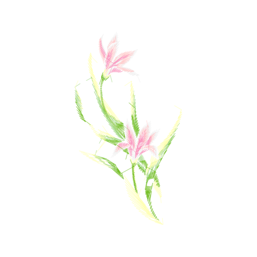 Vervain Wedding Vervain Wedding