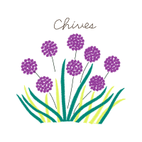 Vervain Wedding Vervain Wedding