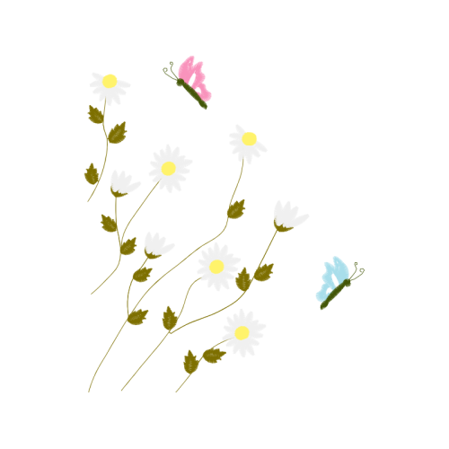 Viceroy Wedding Viceroy Wedding