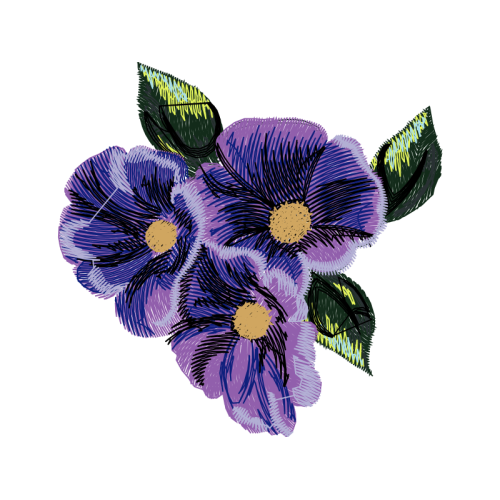 Viola Wedding Viola Wedding