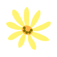 Wallet Wedding Wallet Wedding