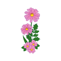 Water Soluble Stabilizer Wedding Water Soluble Stabilizer Wedding