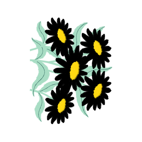 Whirlpool Wedding Whirlpool Wedding