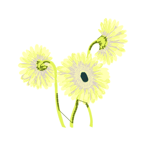 Wikipedia Wedding Wikipedia Wedding