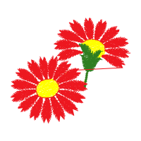 Wirral Met College Conway Park Campus Wedding