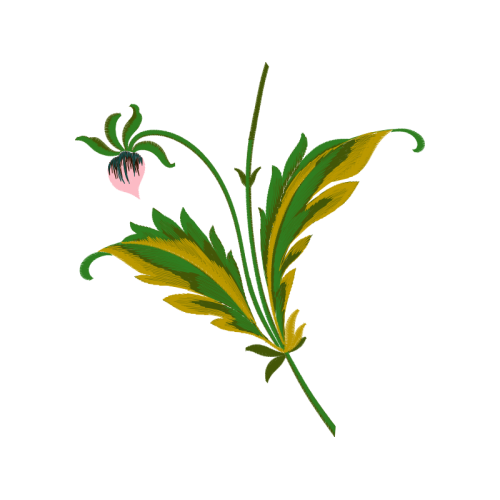 Wolf S Bane Wedding Wolf S Bane Wedding