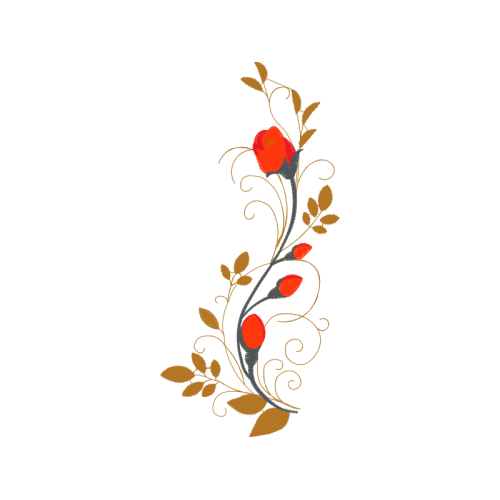 World Wedding World Wedding