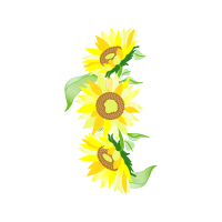 Yellow Wedding Yellow Wedding