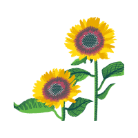 Yellow Wedding Yellow Wedding