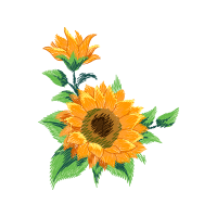 Yellow Wedding Yellow Wedding