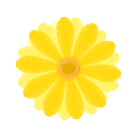 Yellow Wedding Yellow Wedding