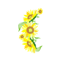 Yellow Wedding Yellow Wedding