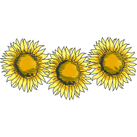 Yellow Wedding Yellow Wedding