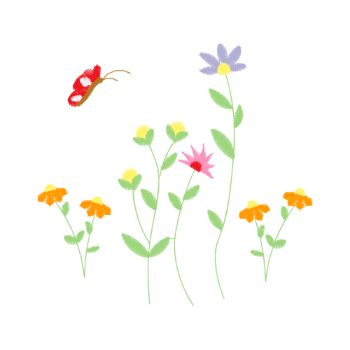 Zinnia Wedding Zinnia Wedding