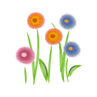 Zinnia Wedding Zinnia Wedding